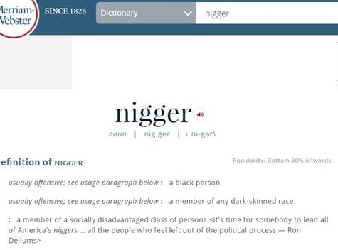 what does the actual statement niger mean what does the particular concept niger mean